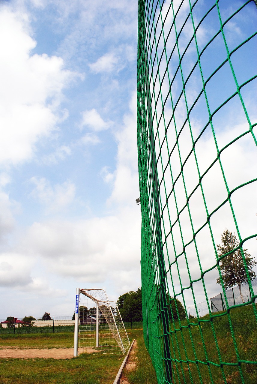 也为球队接 也为球队接